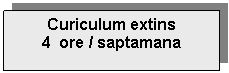 Text Box: Curiculum extins 
4  ore / saptamana

